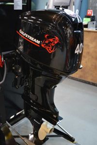 купить 4х-тактный лодочный мотор GOLFSTREAM F40FEL-T EFI в Москве - фото 