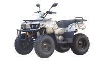 купить Квадроцикл UNIVERSAL Hammer 2 (200) в Москве - фото 