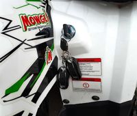 купить Квадроцикл MOWGLI Hardy 8+ в Москве - фото 