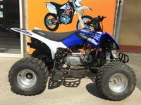 купить Квадроцикл ABM Scorpion 125M в Москве - фото 