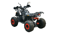 купить Квадроцикл BISON Kids 125 LD в Москве - фото 