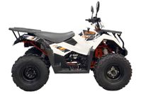 купить Квадроцикл KAYO AU300 Carb в Москве - фото 