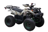 купить Квадроцикл UNIVERSAL Avenger EVO ATV 140 в Москве - фото 