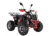 купить Квадроцикл WELS Thunder EVO LUX X 125 в Москве - фото 