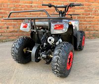 купить Квадроцикл MOWGLI Sharp в Москве - фото 