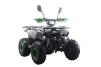 купить Квадроцикл MOTAX ATV Grizlik Premium 125cc в Москве - фото 
