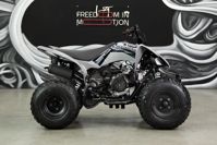 купить Квадроцикл SHARMAX Raizer Race Cup 250 в Москве - фото 