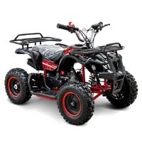 купить Квадроцикл MOTOLAND 50 Mini в Москве - фото 