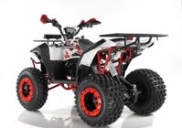купить Квадроцикл WELS EVO X2 в Москве - фото 