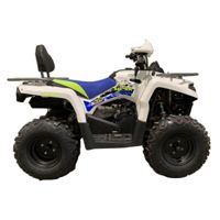 купить Квадроцикл MOTOLAND Shark 200 в Москве - фото 