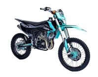 купить Мотоцикл AVANTIS A6 300 Motard (CBS300/174MN-3S) 2023 CROSS в Москве - фото 