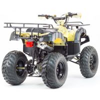 купить Квадроцикл STALKER 250 в Москве - фото 