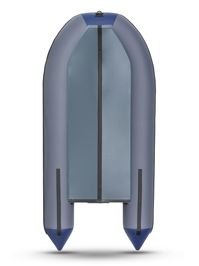 купить Лодка ПВХ АНДРОМЕДА Luxe 310 в Москве - фото 