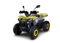 купить Квадроцикл AVANTIS Ray 8 Lux в Москве - фото 