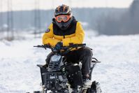 купить Снегоцикл TIGER Universal 150 в Москве - фото 