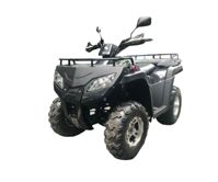 купить Квадроцикл RATO RT 250 ST LD в Москве - фото 