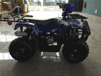 купить Квадроцикл ATV Atomik Sport в Москве - фото 