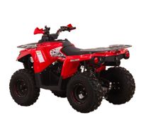 купить Квадроцикл MIKILON Hammer 200L Pro-R в Москве - фото 