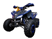 купить Квадроцикл MOTOLAND 125 Coyote Pro в Москве - фото 