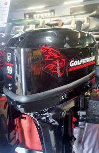 купить 2х-тактный лодочный мотор GOLFSTREAM TE 9.9 BMS Enduro Б/У в Москве - фото 