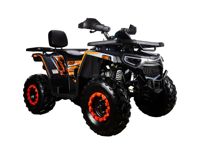 купить Квадроцикл AVANTIS H250 BIG NEW Basic в Москве - фото 