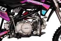 купить Мотоцикл питбайк SHARMAX MOTORS PowerMax 190 MIAMI в Москве - фото 