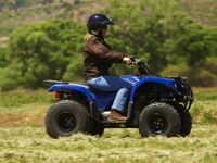 купить Квадроцикл GRIZZLY 125 в Москве - фото 