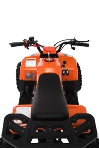 купить Квадроцикл SHARMAX Cross 150 (2024) в Москве - фото 