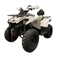 купить Квадроцикл MOTOLAND Shark 200 в Москве - фото 