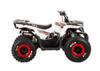 купить Квадроцикл MOTOLAND 125 Wild в Москве - фото 