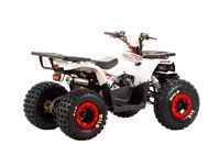 купить Квадроцикл MOTOLAND 125 Wild в Москве - фото 