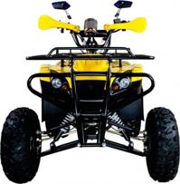 купить Квадроцикл AVANTIS Patriot M в Москве - фото 