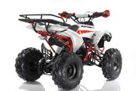 купить Квадроцикл MOTAX ATV Raptor Super LUX 125 cc в Москве - фото 
