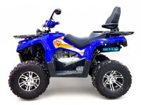 купить Квадроцикл MOTAX Grizlik 200 ULTRA BIG в Москве - фото 