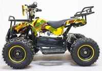 купить Электроквадроцикл GREEN CAMEL Гоби K21 в Москве - фото 