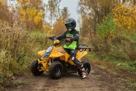 купить Квадроцикл SHARMAX 130 Cross в Москве - фото 