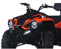 купить Квадроцикл LINHAI-YAMAHA Z210 в Москве - фото 