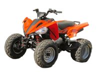 купить Квадроцикл ARMADA ATV 200L-1 в Москве - фото 