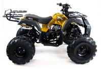 купить Квадроцикл MOTAX ATV Grizlik-8 125 в Москве - фото 
