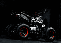 купить Квадроцикл BSE XT1 Black в Москве - фото 