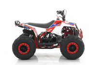 купить Квадроцикл MOTAX Grizlik A110 в Москве - фото 