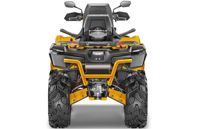 купить Квадроцикл СТЕЛС ATV 800G Guepard Trophy (ПСМ) в Москве - фото 