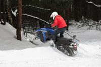 купить Снегоход SHARMAX SN-280 в Москве - фото 