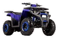 купить Квадроцикл SHARMAX 240CC Cross в Москве - фото 