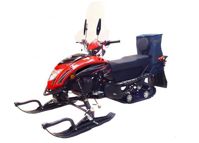 купить Снегоход REGULMOTO Raccoon разборный в Москве - фото 