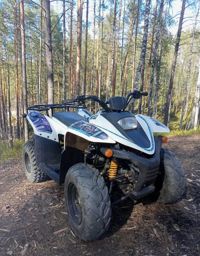 купить Квадроцикл BALTMOTORS Jam 100 (2022) Б/У в Москве - фото 