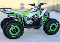 купить Квадроцикл MOTOLAND 125 Coyote (2021 Г.) в Москве - фото 