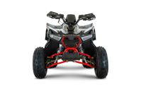 купить Квадроцикл BRZ Drake 125 Pro в Москве - фото 