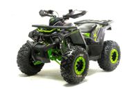 купить Квадроцикл MOTOLAND Wild X Баланс. вал. (2021 Г.) в Москве - фото 