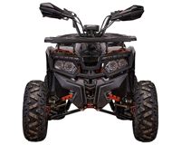 купить Квадроцикл YACOTA Fusion 125 PRO в Москве - фото 